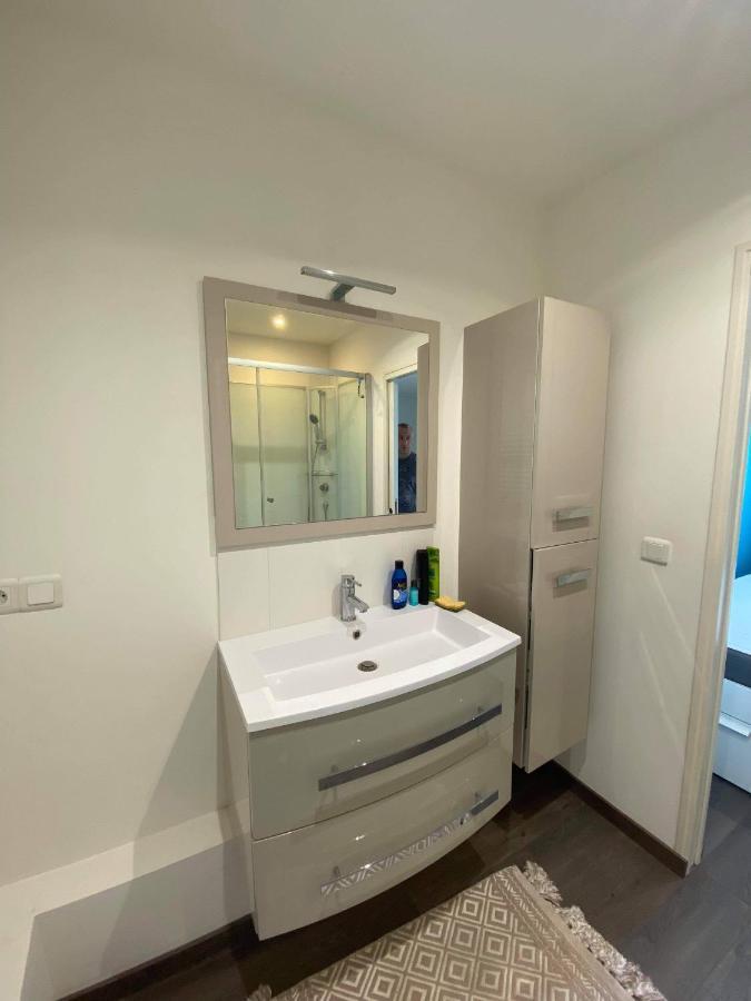 Location Annecy Apartment Meythet Bagian luar foto